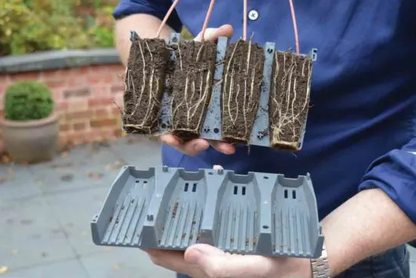 28 Durable Cells Deep Rootrainer Root Trainer Set Plug Plant Seed Long Life Tray