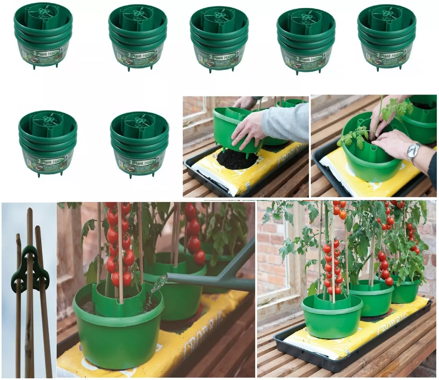 GREEN PLANT HALOS HALO WATERING TOMATOES PLANTER POT GROW BAG TUB BEANS SUPPORT