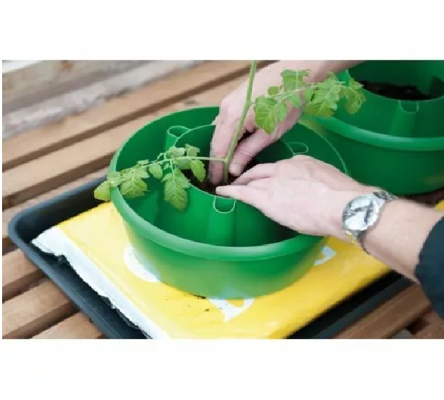 GREEN PLANT HALOS HALO WATERING TOMATOES PLANTER POT GROW BAG TUB BEANS SUPPORT